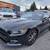 2016 Ford Mustang 2dr Coupe Fastback EcoBoost 2 thumbnail