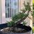Bonsai Starter Plants - Pomegranates, Juniper, Maples & more 2 thumbnail