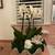 Real Orchid Flower Arrangement 1 thumbnail