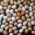 Local Duck & Chicken Eggs 4 thumbnail