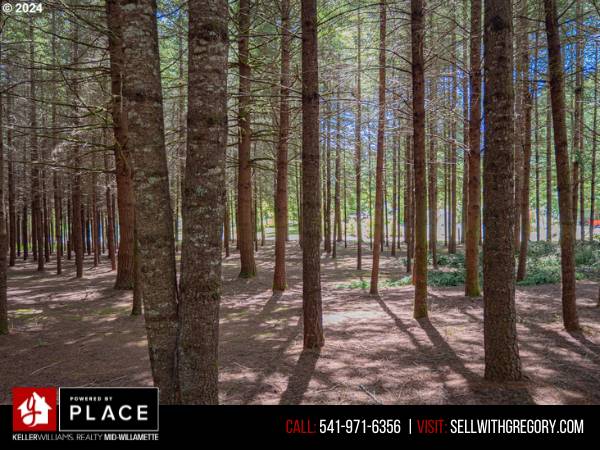 $349,900 Over 5 acres of buildable land just minutes from town. (Sweet Home, OR)63624698219009123