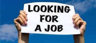 Looking for a Job weekend 1