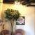 #101 329 Columbia st**D/T Beautiful Share Office With Sink For Lease** 12 thumbnail