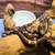 New born Boas 5 thumbnail