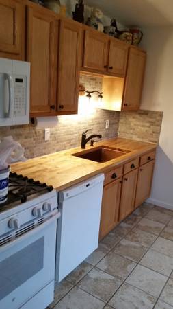 Plumbing Services and Contracting 1