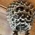 2001 DURA ACE 7700 FULL GROUPSET 15 thumbnail