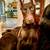 Beautiful Black/Rust Doberman Puppies 4 thumbnail