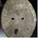 Authentic African Tribal Carved Wooden Wall Mask 3 thumbnail