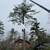 Tree Removal, Emergency and Hazardous, and Tree/Lot/Land Clearing. 7 thumbnail