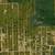 Florida Isn't Getting Bigger. Land Is Getting Scarcer 1 thumbnail