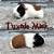 Guinea Pig Boys 4 thumbnail