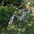 Cruiser bike 3 thumbnail