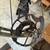 PRIME Inline Compound Bow RH 70lb 4 thumbnail