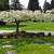 Grave Sites  Evergreen Washelli 8 thumbnail