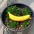 Assorted Potted Plants - Plumeria, Jade, Fiddle Leaf Fig, and More 6 thumbnail