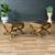 Pair of Italian Neoclassical Style Curule Leather Benches, c.1940’s 2 thumbnail