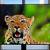 LG C1 UHD OLED TV 55" + stand 2 thumbnail