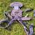 Baby carriers, Ergobaby 360 and Infantino, great condition 4 thumbnail