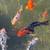 Koi Fish 1 thumbnail