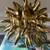 Beautiful Home Decor—Gold Sea Urchin Box in Excellent Condition 1 thumbnail