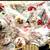 ***DRESSER KNOBS 25 IN A BOX 2 thumbnail
