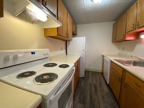 $1,509 / 1hab - 644ft2 - Amplio apartamento de 1 habitación - Arquitectura histórica - Plano de planta amplio (610 Union St, Manchester, NH)63656294972417124