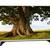 LG 43" SMART LED TV webOS 2.0 1080P FULL HD HDMI NETFLIX YOUTUBE AMAZO 6 thumbnail