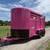 2026 DELCO 2 HORSE BUMPER PULL WITH SPARE PINK 12K-GVWR 6 thumbnail