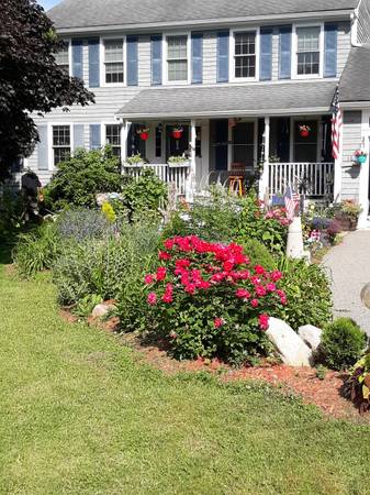 $1,000 / 1br - Beautiful bedroom (Weymouth)63856665035651120