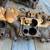 CHEVELLE BB INTAKE #3883948 2 thumbnail
