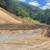 Hazardous Tree Removal, Grading, Dirt, Mulch, Compost, Topsoil 6 thumbnail