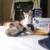 Kittens need a forever home 1 thumbnail