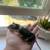 Pet Male Mouse 3 thumbnail