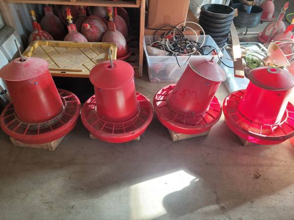 Chicken Feeders 1