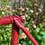 Vintage Trek frame lugged steel 24" 60cm new paint 6 thumbnail