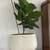 Large indoor tree planter 3 thumbnail