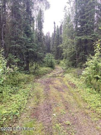 $295,000 40 Acres In Meadow Lakes With Good Road Access! (Wasilla)64149620326785121