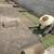 Gardening service and landscaping 1 thumbnail