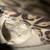 Authentic 2008 Nike SB Dunk High "Ferris Bueller" Cheetah Print US 5 10 thumbnail