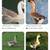 Large dewlap African geese goslings 4 thumbnail