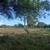 LAND FOR SALE 8 thumbnail