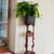 Peace-Lily, Plant Stand w/drawers, and Pottery ‘Water-catch’ Platter 1 thumbnail
