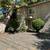 Modern 2 Bed / 1 Bath Unit in Chico, CA - Available 07/19/2025 - $1200 2 thumbnail