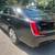 2018 Cadillax XTS PRO Livery Trim #4890 3 thumbnail