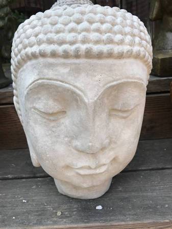Buddha head garden planter pot - $35 (Petaluma)63471034536705121