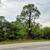 OWNER FINANCING – Buildable Lot in Lake Placid FL – No HOA – No Flood 15 thumbnail