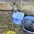 Kittens 2 thumbnail