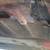 1964 Ford Thunderbird Convertible Project Car With A 390 Engine 7 thumbnail