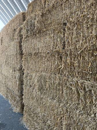 Certified Weed Free Wheat Straw 1