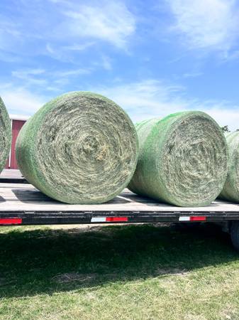 Hay Horse quality round bales - $120 (10520 West  Loop 1604 South)63471407942529120